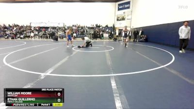 125 lbs 3rd Place Match - Ethan Guillermo, Menlo College vs William Moore, Westcliff