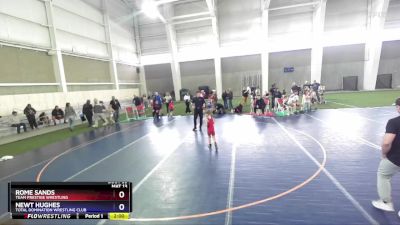 49 lbs 5th Place Match - Rome Sands, Team Prestige Wrestling vs Newt Hughes, Total Domination Wrestling Club