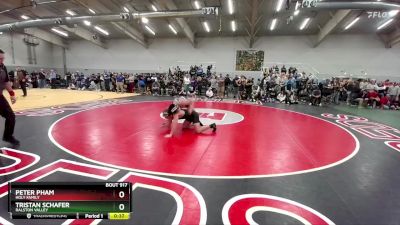 175 lbs Cons. Round 2 - Tristan Schafer, Ralston Valley vs Peter Pham, Holy Family