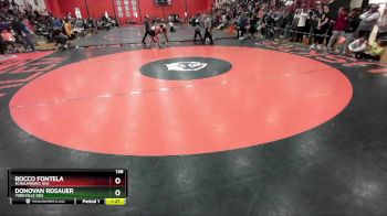 138 lbs Cons. Round 3 - Rocco Fontela, SCHAUMBURG (HS) vs Donovan Rosauer, YORKVILLE (HS)