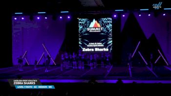 Carolina Spirit Athletics - Zebra Sharks [2025 L1 Youth - D2 - Medium - WC Day 2] 2025 The Youth Summit