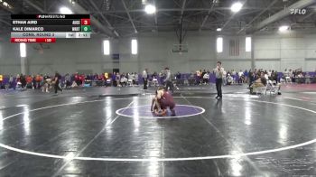 125 lbs Cons. Round 3 - Ethan Aird, Augsburg vs Kale DiMarco, Wartburg