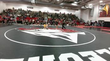 135 lbs 15th Place Match - Alexis Lovato, Skyview vs Andrea Stone, Thomas Jefferson