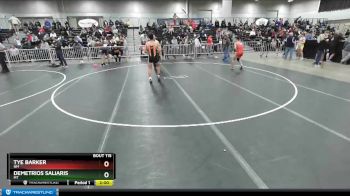 138 lbs Champ. Round 2 - Demetrios Saliaris, MT vs Tye Barker, NM