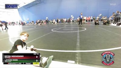 96 lbs Quarterfinal - Keynu Neiswender, Palmyra vs Laydon Knox, Open Mats