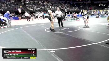 175 Class 4 lbs Champ. Round 1 - Peyton Westpfahl, Liberty vs Anthony Hicks, Raymore-Peculiar