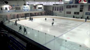 Replay: Home - 2024 Hitmen U12 Minor vs Wolfpack U12 | Mar 1 @ 10 AM