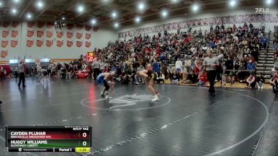 132 lbs Quarterfinal - Huggy Williams, Olentangy Liberty vs Cayden Pluhar, Brecksville-Broadview Hts.