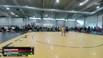 120 lbs Champ. Round 3 - Jullian Marquez, Platte Valley vs Tyler Haneborg, North Platte