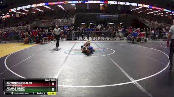 3A 113 lbs Quarterfinal - Adaias Ortiz, Osceola (Kissimmee) vs Antonio Morales, Southwest Miami