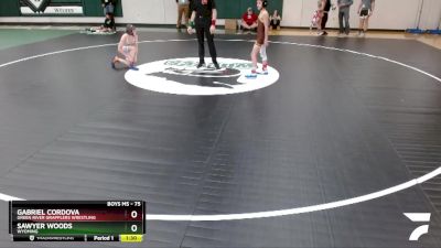 75 lbs Quarterfinal - Gabriel Cordova, Green River Grapplers Wrestling vs Sawyer Woods, Wyoming