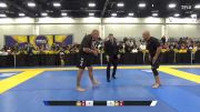 Julio Olimpio M. De Araujo vs David Gerald Blau 2024 World IBJJF Jiu-Jitsu No-Gi Championship