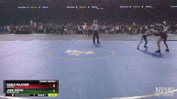 D3-106 lbs Champ. Round 1 - Gable Majcher, Yale HS vs Jude Rosas, Blissfield HS