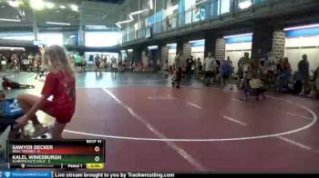 80 lbs Round 9 (10 Team) - Sawyer Decker, Well Trained vs Kalel Winesburgh, Alabama Elite Gold