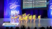 Dance Dynamics - Mini Elite Large Jazz [2025 Mini - Jazz - Large Day 2] 2025 NDA All-Star National Championship
