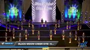 Black Widow Cheer Gym - Splash [2020 L1 Youth - Medium Day 2] 2020 Feel The Power East