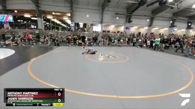 75 lbs Quarterfinal - Jaden Harrison, Bordertown Brawlers Wrestling Club vs Anthony Martinez, Mesquite Wrestling Club