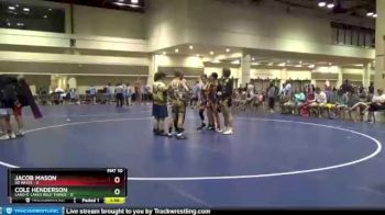 106 lbs Round 1 (10 Team) - Cole Henderson, Land O` Lakes Wild Things vs Jacob Mason, SD White