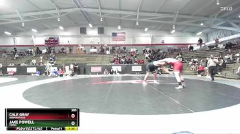 285 lbs Cons. Semi - Cale Gray, Indianapolis vs Jake Powell, Tiffin