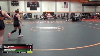 120 lbs Semifinal - Karsyn Roling, Prairie, Cedar Rapids vs Ally Jelinek, Linn-Mar