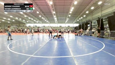 127 lbs Quarterfinal - Anthony D'Alessio, Ruthless Black vs Hayden Lauterback, TSB