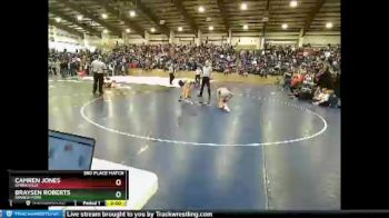 215 lbs 3rd Place Match - Camren Jones, Springville vs Braysen Roberts, Spanish Fork