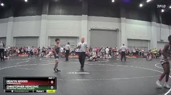 75 lbs Quarterfinal - Heavyn Woods, Takedown Elite vs Christopher Nemcovic, Roundtree Wrestling Academy