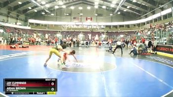 101 lbs Cons. Round 3 - Aidan Brown, St Anthonys vs Jay Cummings, Troy Area Hs