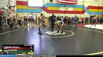 126 lbs Champ. Round 1 - Wylee Willson, Pinedale vs Cameron Trujillo, South
