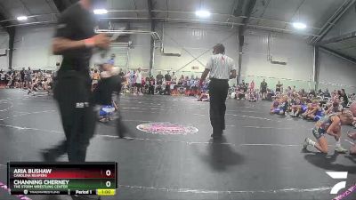 70 lbs Cons. Semi - Aria Bushaw, Carolina Reapers vs Channing Cherney, The Storm Wrestling Center