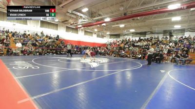 120 lbs Semifinal - Ethan Bilobram, Timberlane vs Evan Lynch, Salem