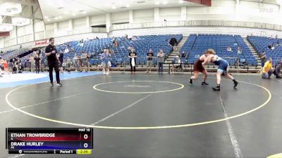 165 lbs Cons. Round 3 - Ethan Trowbridge, IL vs Drake Hurley, MI