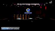 Mustang Cheer All Stars - Renegades [2026 L5 Senior Coed - D2 - Small Day 2] 2026 NCA All-Star National Championship