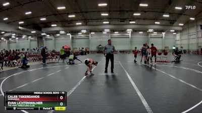 75 lbs Round 5 - Evan Lichtenwalner, The Hunt Wrestling Club vs Caleb Tsikerdanos, Warhawks