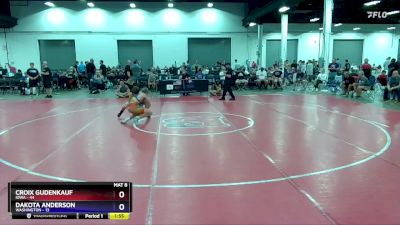 136 lbs Placement Matches (16 Team) - Croix Gudenkauf, Iowa vs Dakota Anderson, Washington