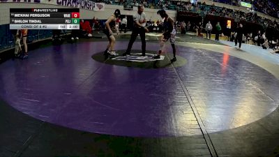 132 lbs Consi Of 8 #2 - Me'khai Ferguson, Wagener-Salley vs Shiloh Tindal, Pelion