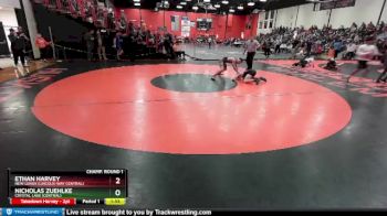 138 lbs Champ. Round 1 - Nicholas Zuehlke, Crystal Lake (CENTRAL) vs Ethan Harvey, New Lenox (LINCOLN-WAY CENTRAL)