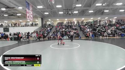 80 lbs Cons. Round 1 - Davis Westendorf, IAWC vs Jaxten Harrington, Terminator Wrestling Academy