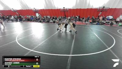 126 lbs Quarterfinal - Dominic Lieber, Wisconsin vs Hunter Stevens, Sarbacker Wrestling Academy