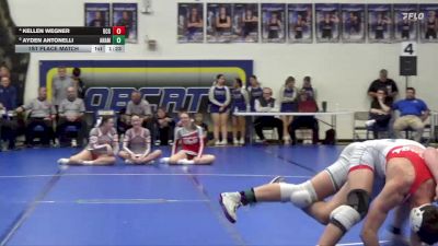 190 lbs 1st Place Match - Kellen Wegner, Dallas Center-Grimes vs Ayden Antonelli, Anamosa