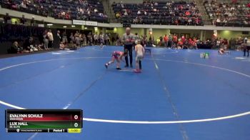 45 lbs Round 1 - Evalynn Schulz, Wisconsin vs Lux Hall, DC Elite