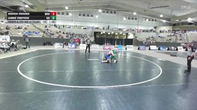 175 lbs Semis & 1st Wb (8 Team) - James Treptow, Greeneville High School vs Joshua Hodges, Montgomery Central High School