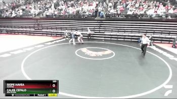 285 lbs Champ. Round 1 - Siope Havea, Hunter vs Caleb Cefalo, Box Elder