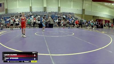 98 lbs Quarterfinal - Gavin Olenek, IL vs Tony Springer, OH