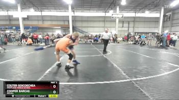 95 lbs Cons. Round 4 - Cooper Barcas, McCall vs Colter Goicoechea, Fruitland Middle School