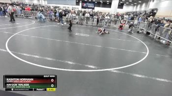56 lbs Champ. Round 2 - Hayzon Walker, Stallions Wrestling Club vs Kashton Hormann, Summit Wrestling Academy