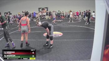 107 lbs 1st Place Match - Rj Whorton, Darkhorse Wrestling Club vs Cj Weidman, C2X Academy