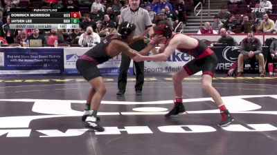 114 lbs 5th Place - Dominick Morrison, Hatboro-Horsham vs Jayden Lee, Radnor