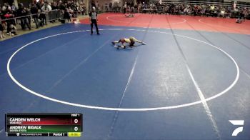 65 lbs Cons. Round 1 - Camden Welch, Wabasso vs Andrew Bigalk, Dover-Eyota