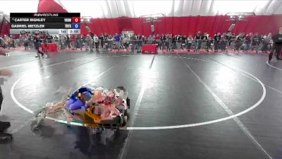 175 lbs Cons. Round 4 - Carter Bighley, Victory School Of Wrestling vs Gabriel Metzler, Team Nazar Training Center